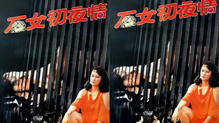 【香港】石女初夜情_摩登女性 （1985）海报剧照